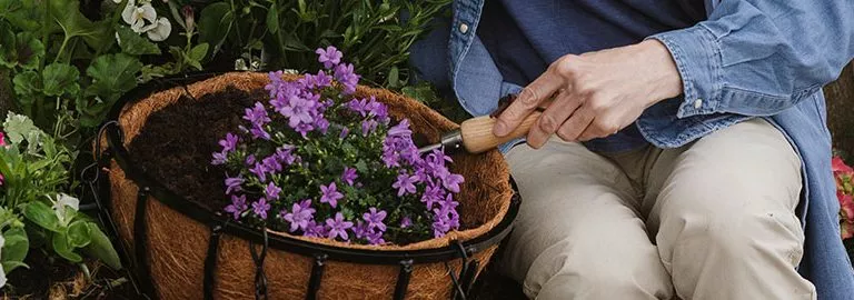 how to plant up hanging baskets