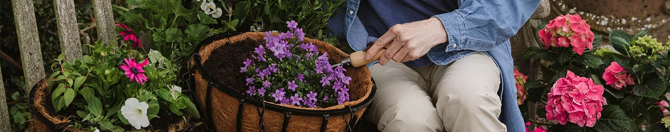 how to plant up hanging baskets