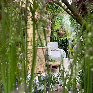 tall plants on balcony garden