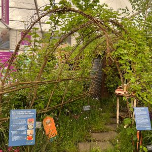 chelsea trends willow arch