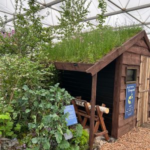 chelsea trends living roof