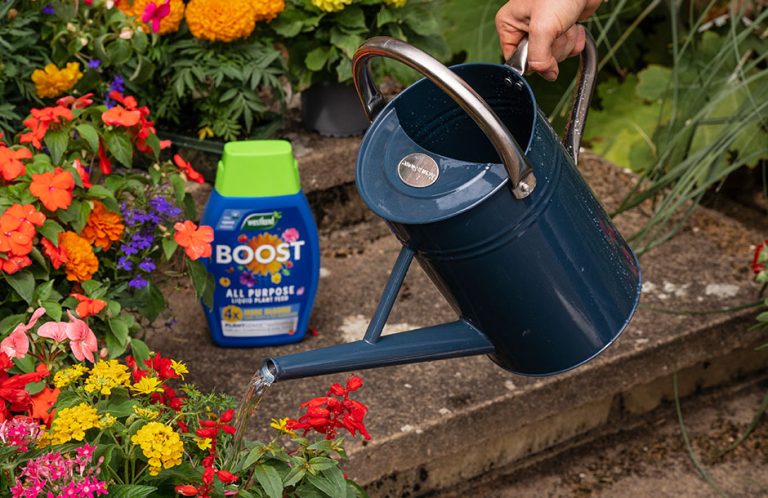 choosing the right plant food article image