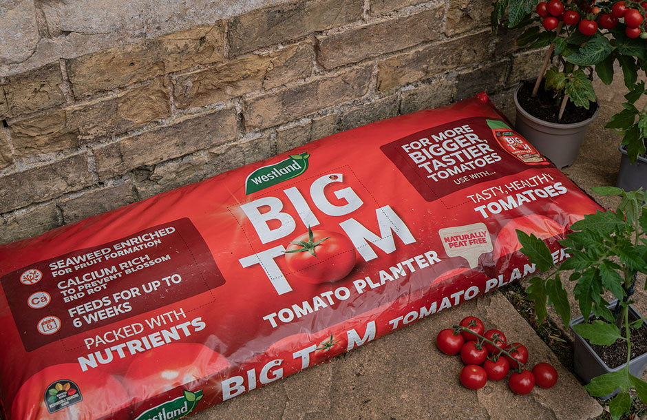 how to use big tom peat free tomato planter article image