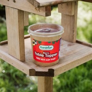 berry table topper on bird table