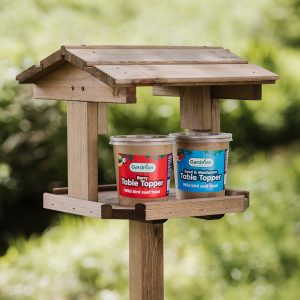 berry and seed & mealworm table topper on bird table