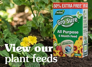 View our All Purpose Plant Feeds