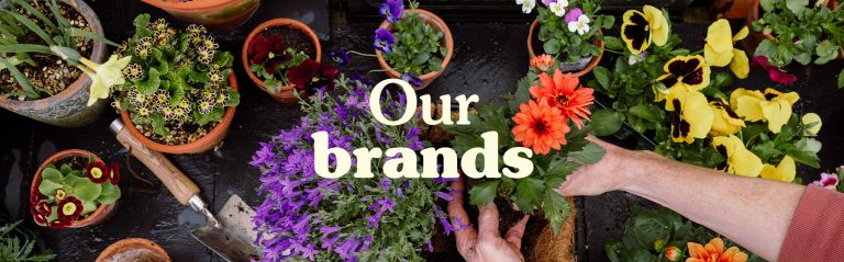 Our brands