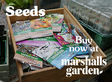 Marshalls garden clearance
