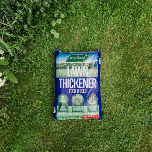 westland lawn thickener 250m bag