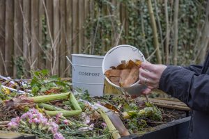 compost heap