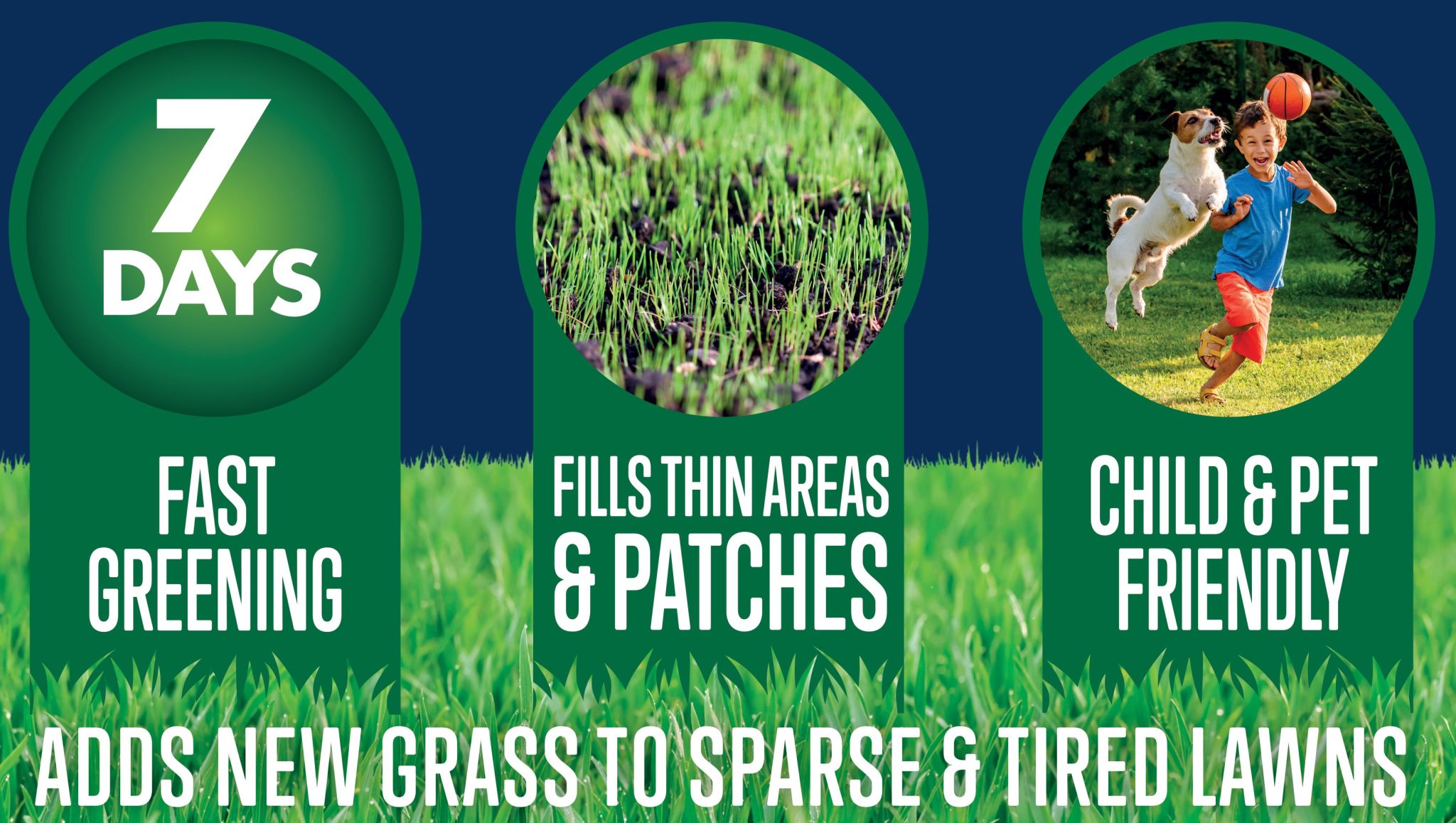 Westland Lawn Thickener Feed & Seed Garden Health