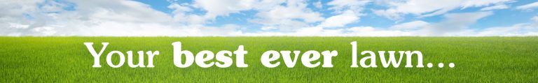 your best ever lawn awaits