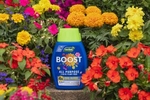 boost plant food