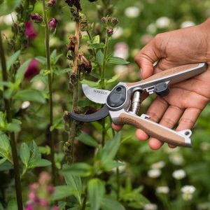 kent and stowe garden life all purpose mini secateurs lifestyle