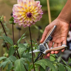 flower snips lifestyle