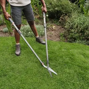 Flat lawn clearance edging shears