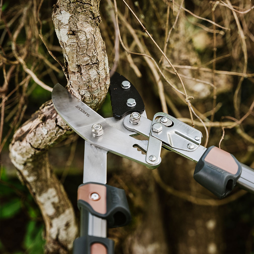SureCut Extra Power Hard Wood Ratchet Loppers Kent & Stowe Garden
