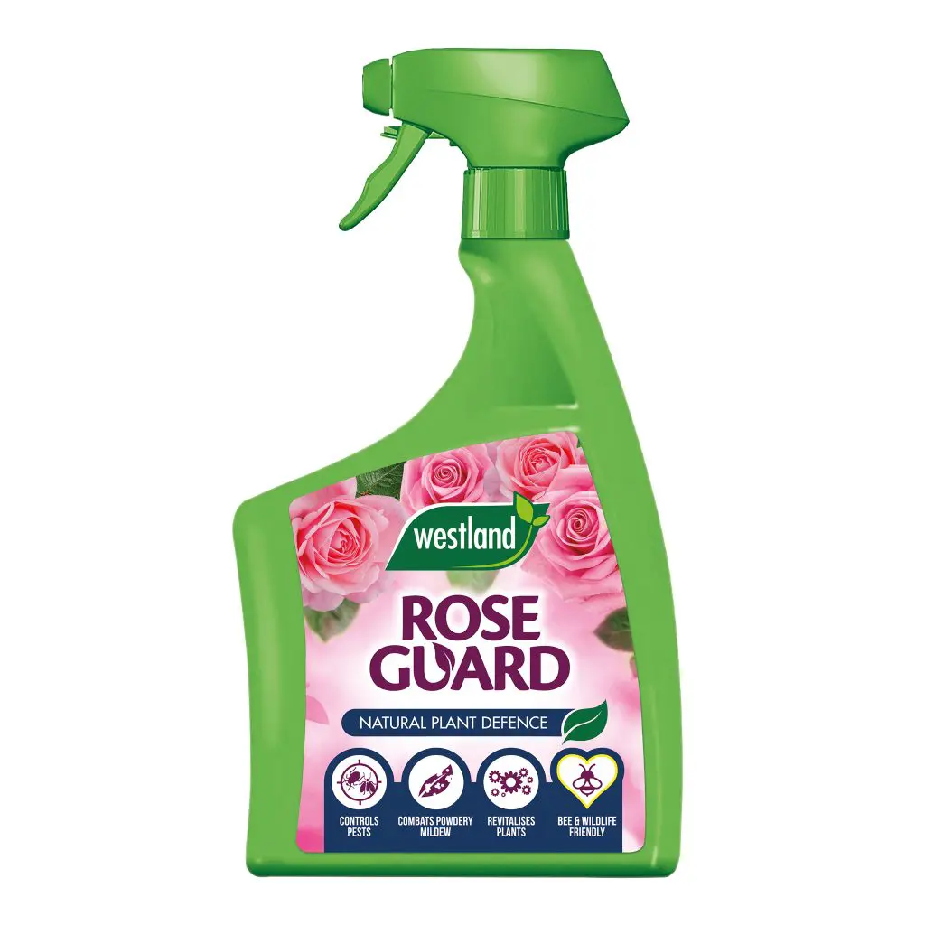 westland rose guard