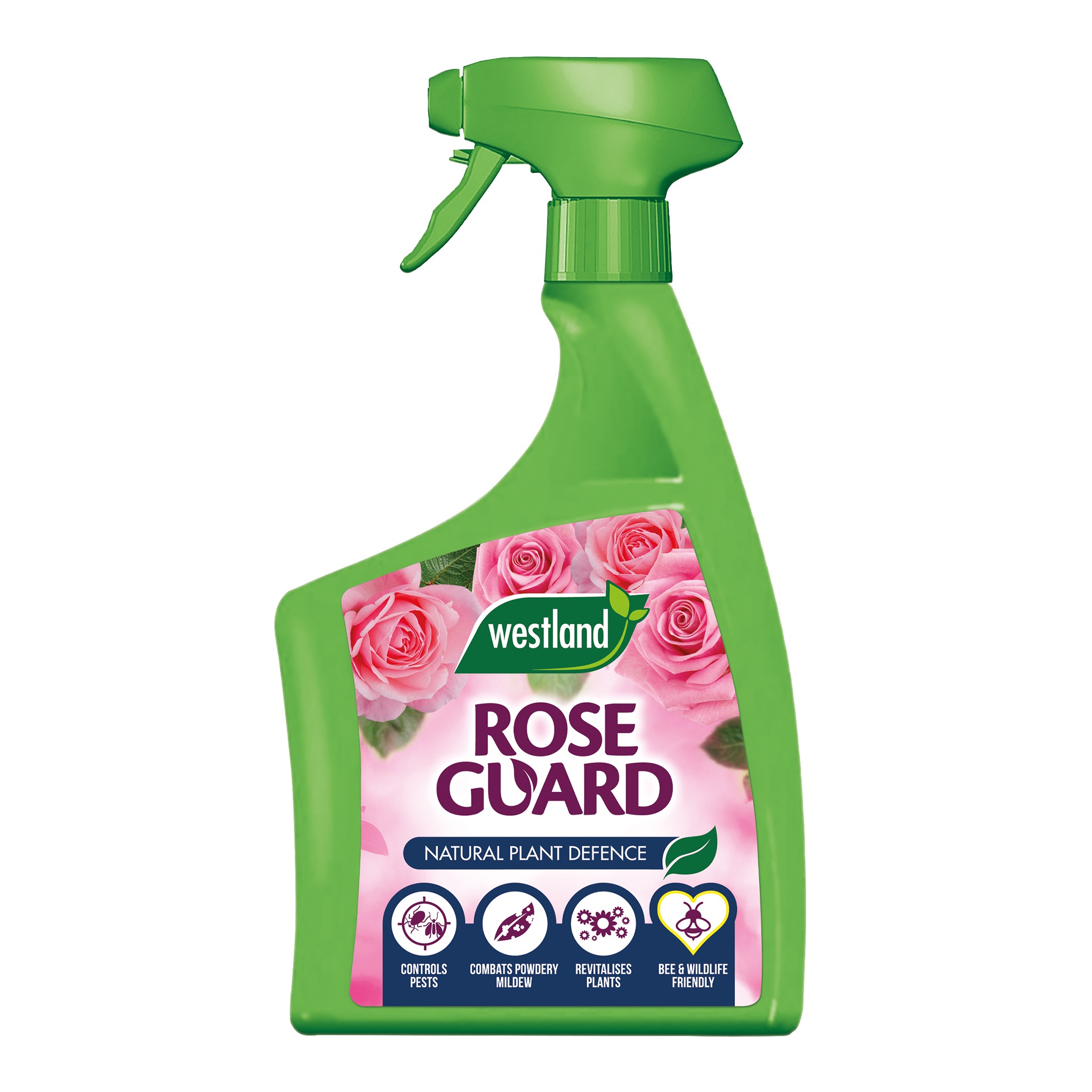 Westland Rose Guard