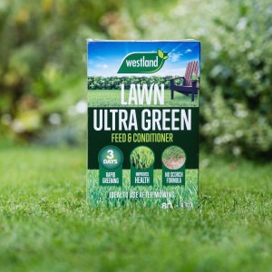 westland lawn ultra green 80m