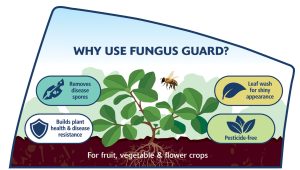 fungus guard why use
