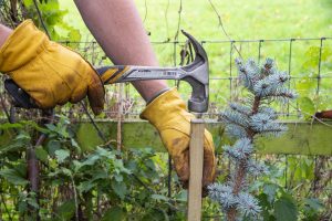 hammering tree stake