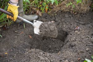 digging a hole 