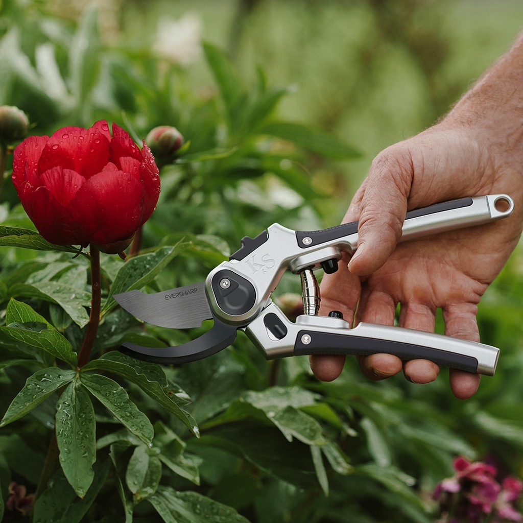 eversharp all purpose bypass secateurs cutting flower