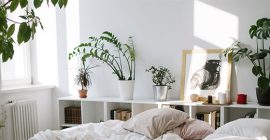 houseplants in bedroom