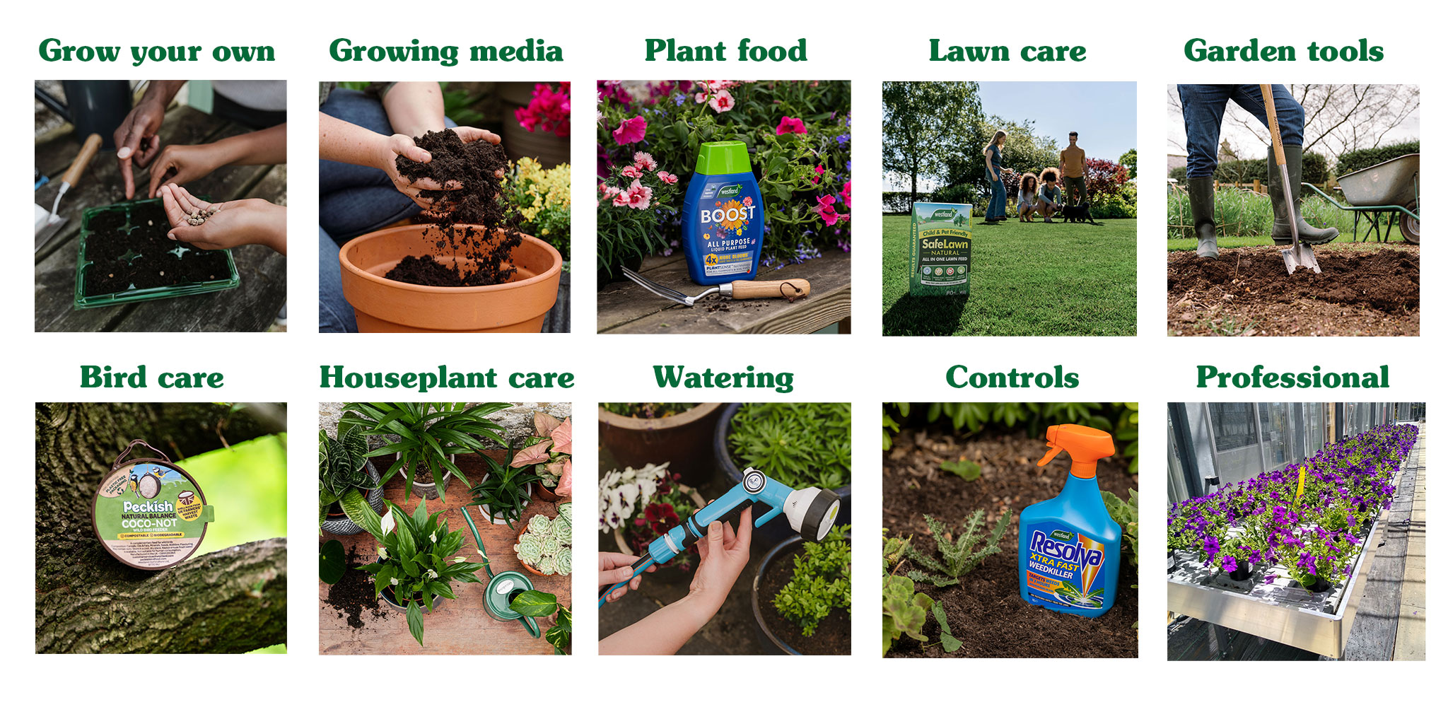 Who We Are What We Do About Us Westland Garden Health