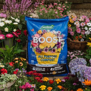 Westland Boost All Purpose Compost 46L