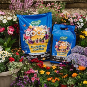 Westland Boost All Purpose Compost 25L & 46L