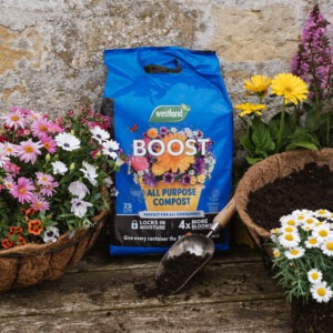 Westland Boost All Purpose Compost 25L