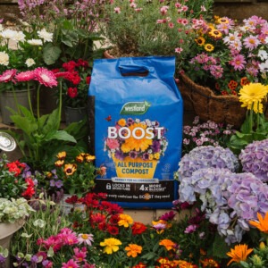 Westland Boost All Purpose Compost 25L