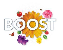 boost logo