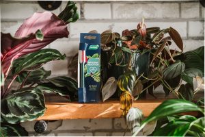 westland watering indicator on a shelf