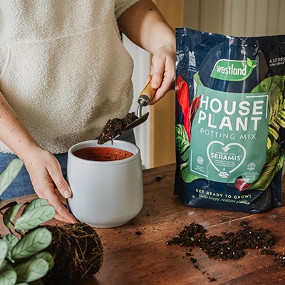 <h2><span style="font-size: 12pt; color: #ffffff;"><strong>How to repot houseplants...</strong></span></h2>