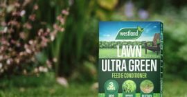 ultra green box on lawn