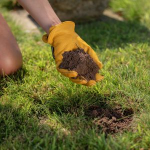 westland lawn seeding soil in use in hand
