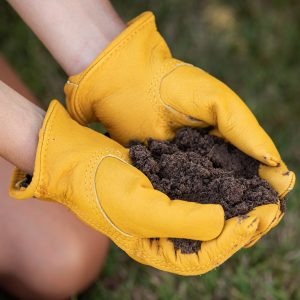 westland lawn seeding soil in use in hand