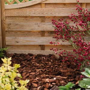westland premium pine bark nuggets in garden border