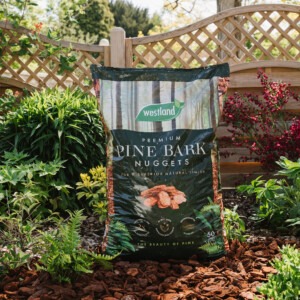 westland premium pine bark nuggets in garden border