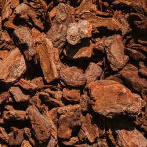 westland premium pine bark nuggets in garden border close up of bark chips