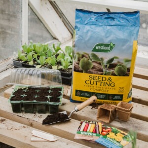westland seed and cutting compost on potting table with seed tray