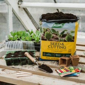westland seed and cutting compost on potting table with seed tray