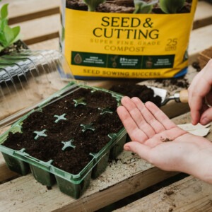 westland seed and cutting compost on potting table with seed tray someone planting seed