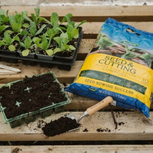 westland seed and cutting compost on potting table with seed tray 10L