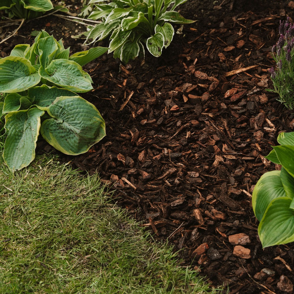 Westland Premium Pine Bark Nuggets - Barks & Mulches - Westland Garden ...