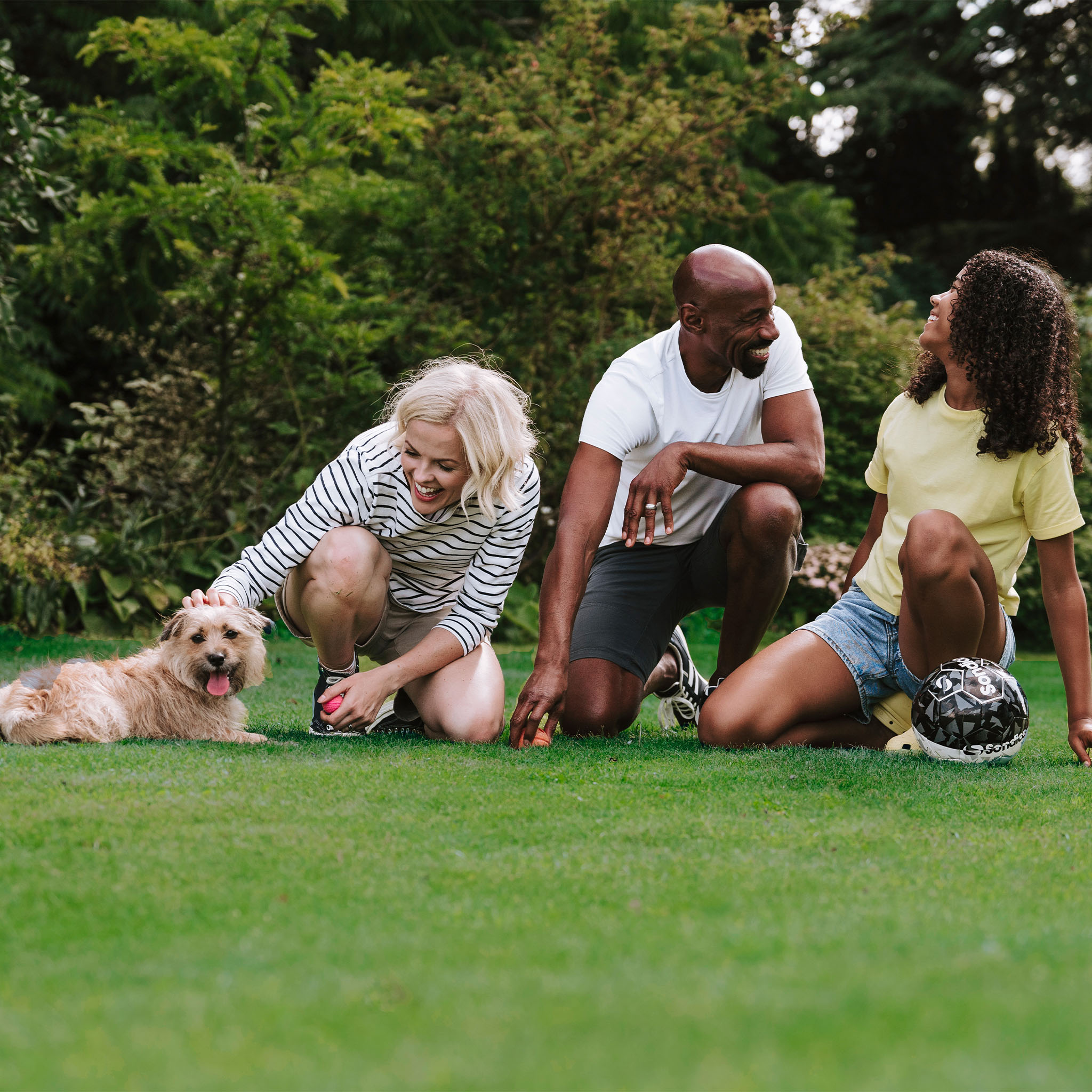 get your perfect lawn