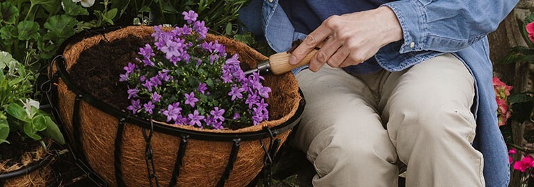 container gardening